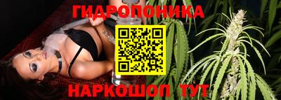 spice Кандалакша
